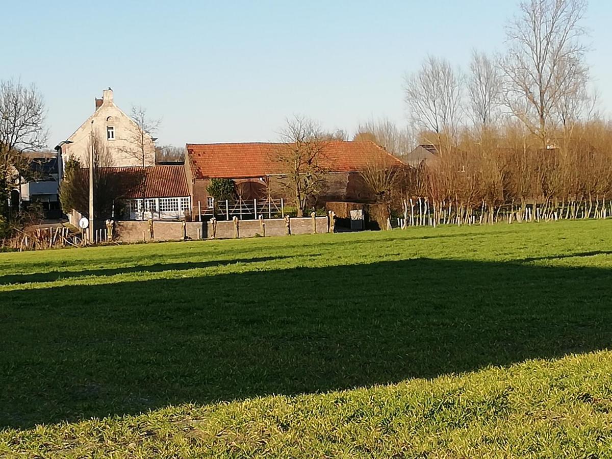 Hofstede Ter Biest Bed & Breakfast Zwalm ภายนอก รูปภาพ